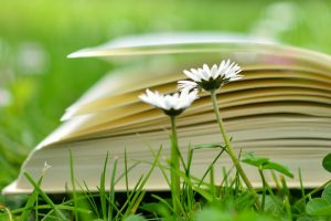 Workshop: Boost je mindset en je hormonen